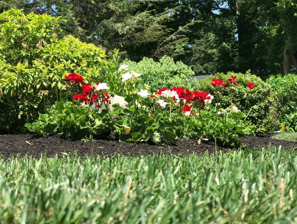 Landscaping for Picano Landscaping in Reading, MA