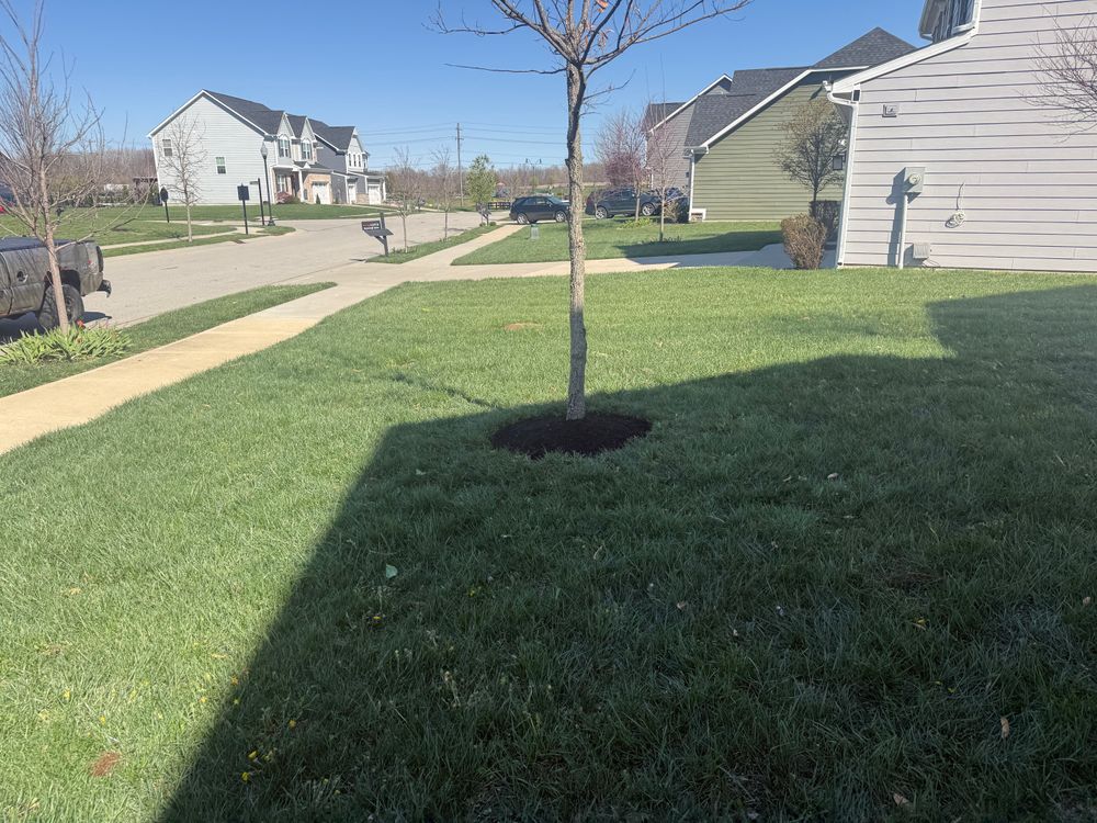 All Photos for Prestige Landscaping & Lawn Services LLC in Anderson, IN