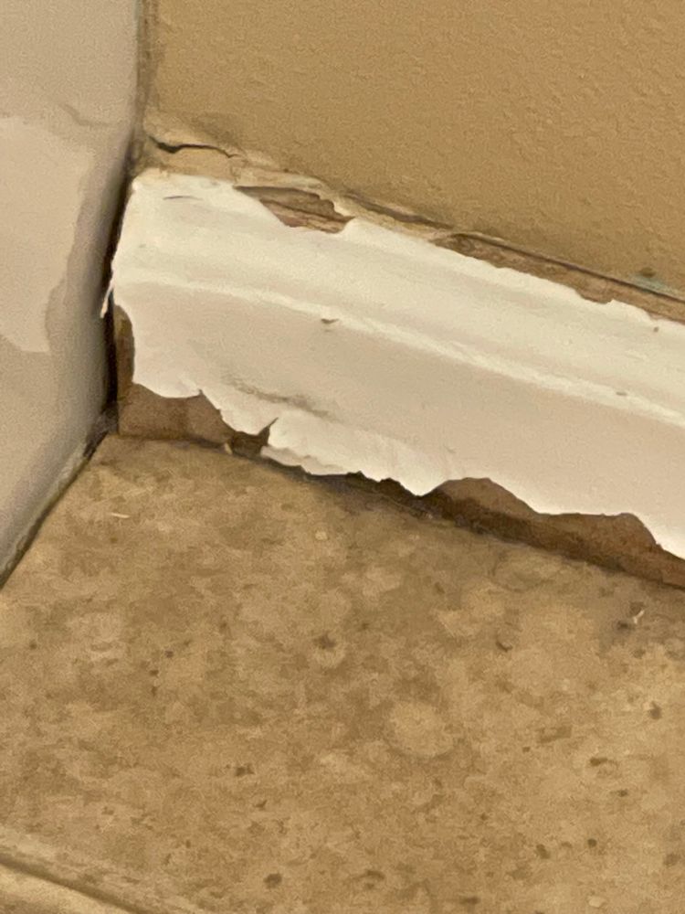 All Photos for Tony's Remodeling & Painting in Renton, WA