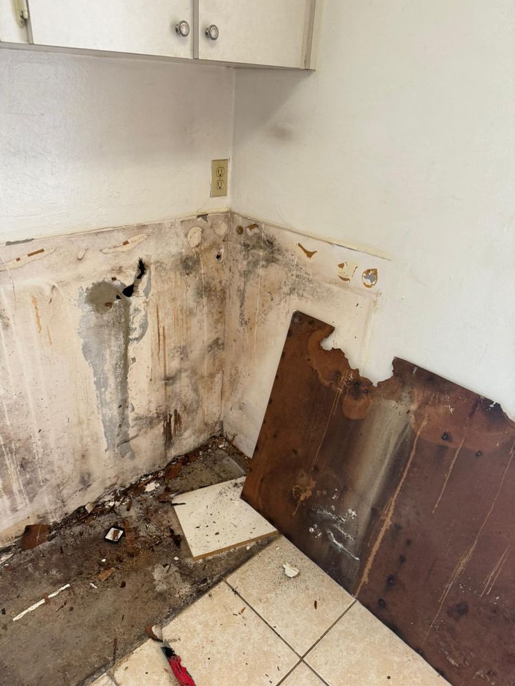 All Photos for N&D Restoration Services When Disaster Attacks, We Come In in Cape Coral,  FL