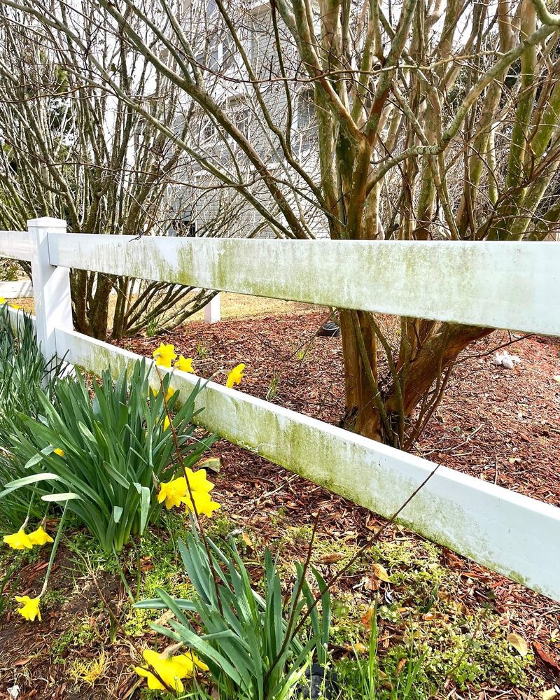 All Photos for Kitty Hawk Powerwash in , 