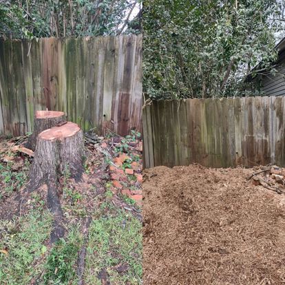 All Photos for Morgan's Stump Removal in Rock HIll, SC