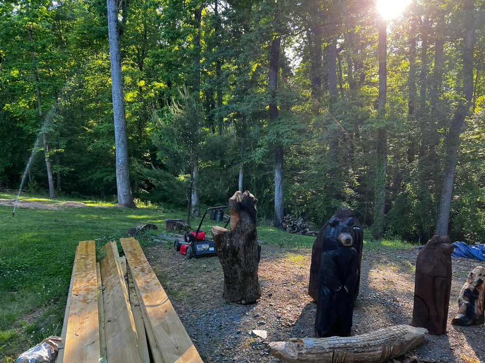 Tree Removal for Arbor Eden Creations in Winston-Salem, NC