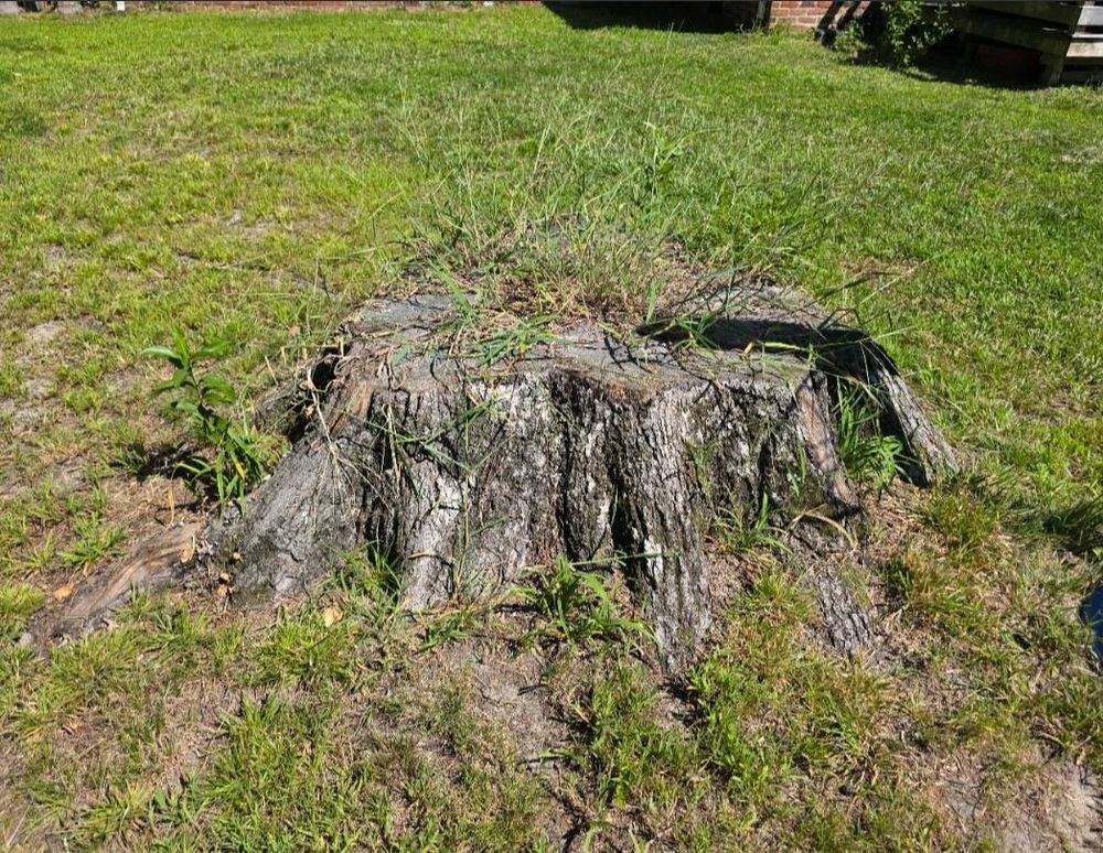 All Photos for Anchor & Grind Stump in Chesapeake, VA