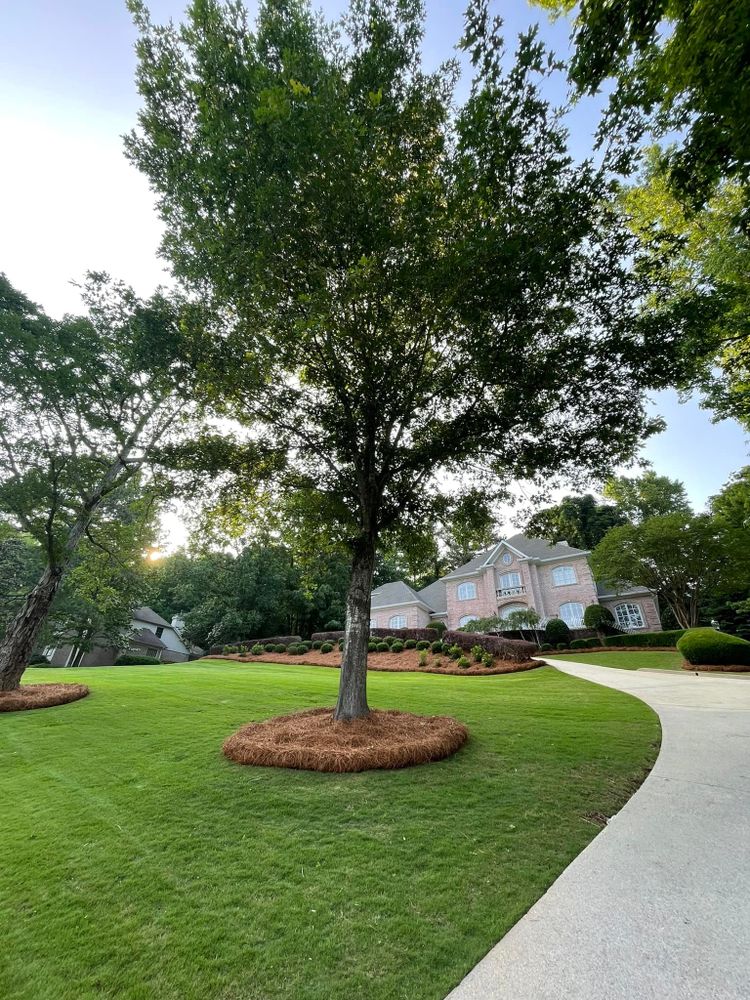 All Photos for All About Lawns in Trussville, AL