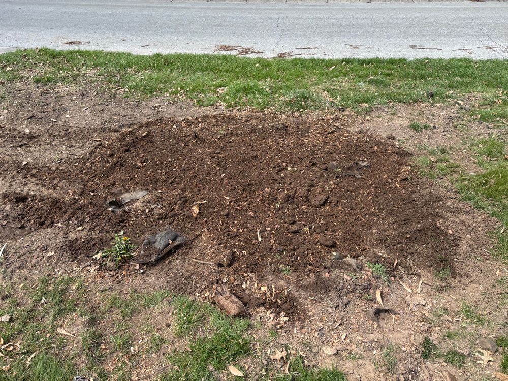 All Photos for Conrad's Stump Removal in Columbus, IN