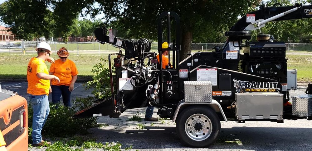 Tree Removal for Daniel Hickey’s Tree Service in DeLand, FL