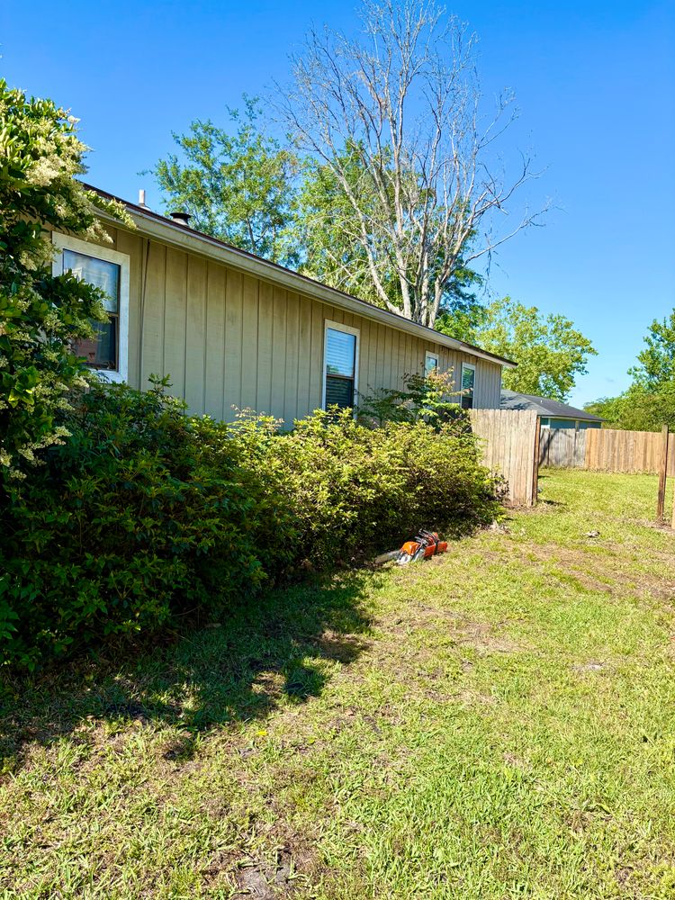 All Photos for Top Notch Tree Experts in Orange Park, FL