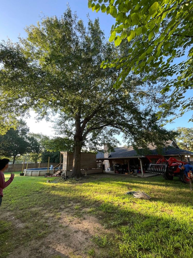 All Photos for JC Land and Tree Service in Kilgore, TX
