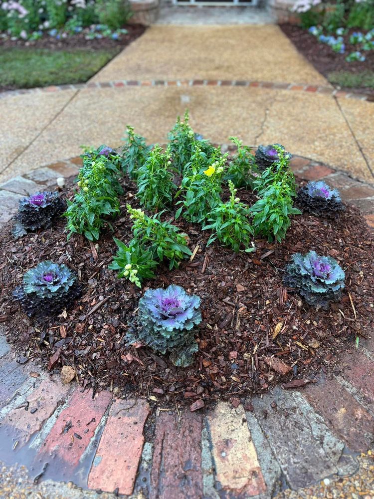 Landscaping for Amis Lawn and Landscape, LLC in Clinton, MS