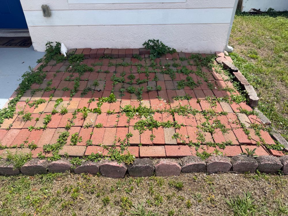 All Photos for The Yardman in Tampa, FL