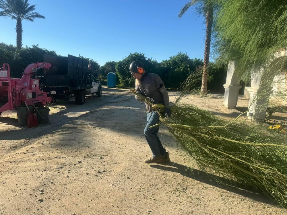 Property Clean Up for The Tree Fairy in Temecula, CA