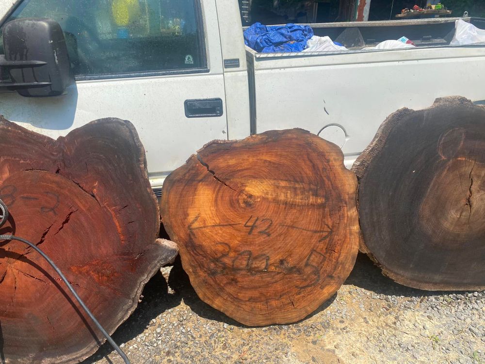 All Photos for Brocks Tree Service LLC in Rogersville, TN