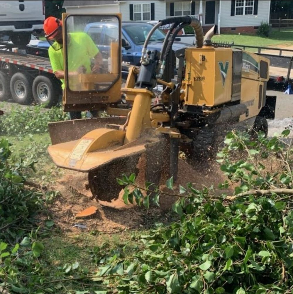 Morgan's Stump Removal team in Rock HIll, SC - people or person