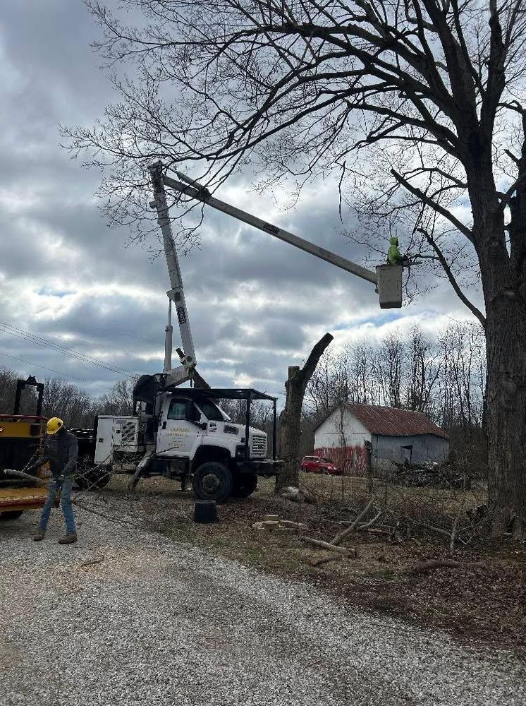 All Photos for Lightning Tree Service in Corydon, IN