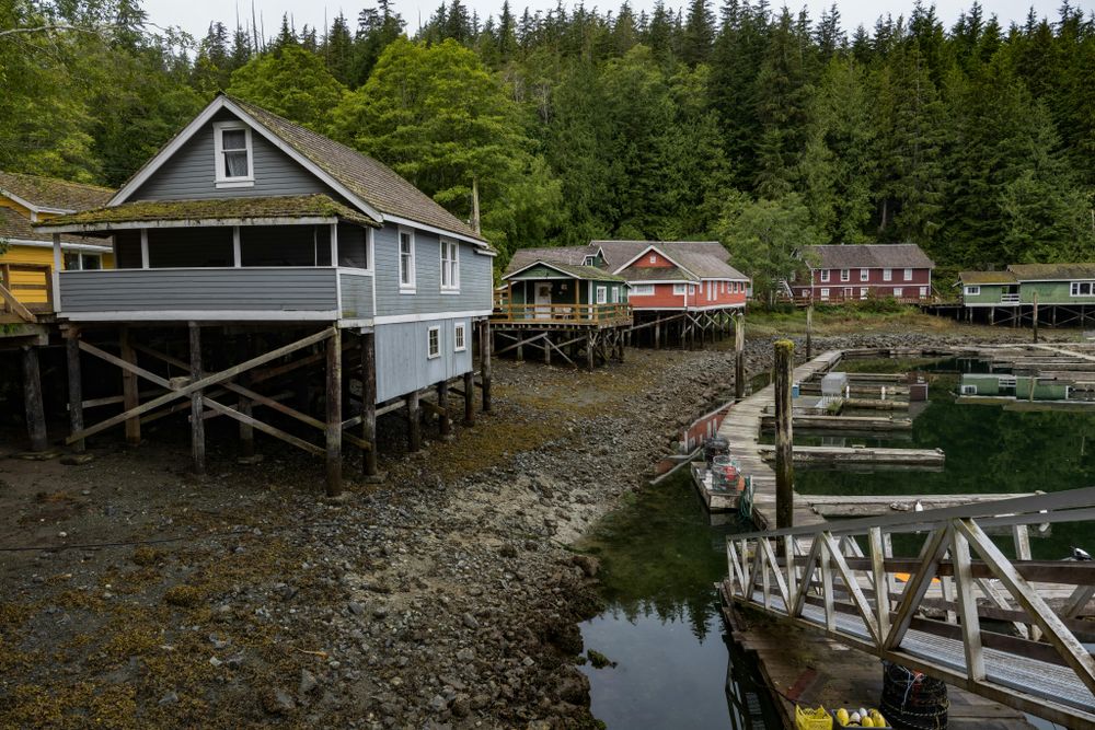Enhance your houseboat experience with our expert cleaning service, ensuring a sparkling, pristine environment. Our skilled team tackles grime and salt buildup, leaving your vessel fresh and inviting for every voyage. for 865 Divers  in Blaine, TN