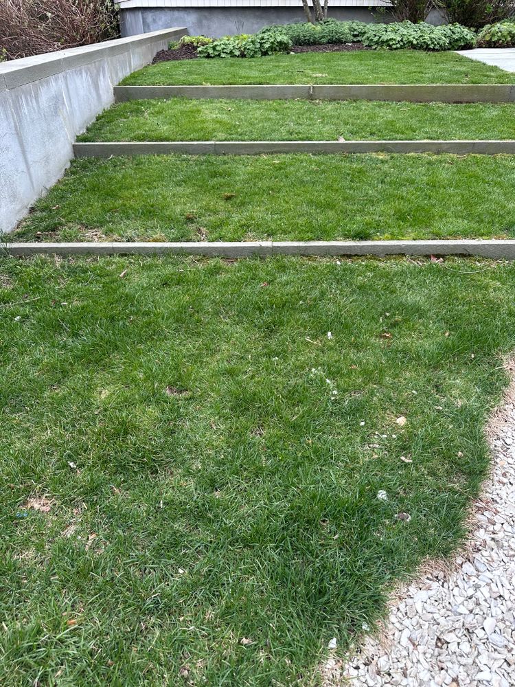 All Photos for Matteo Hardscapes in Towson,  MD