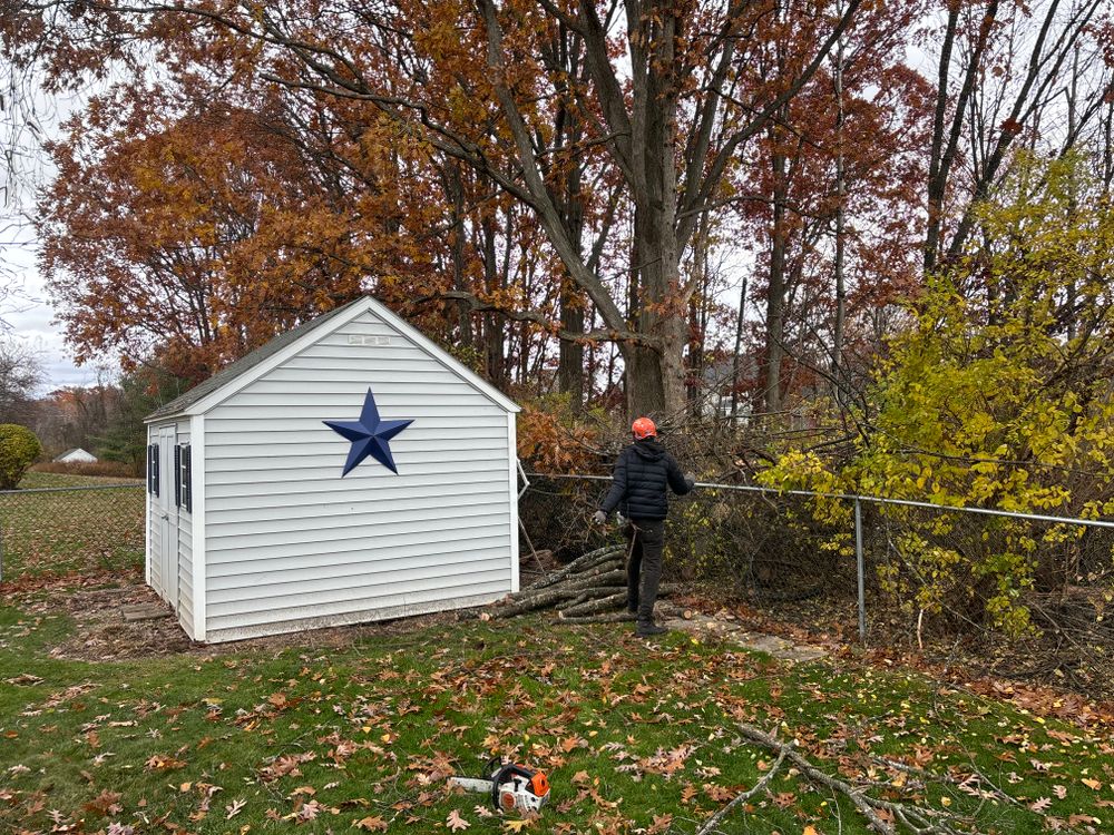 All Photos for T's Trees in Albany, NY