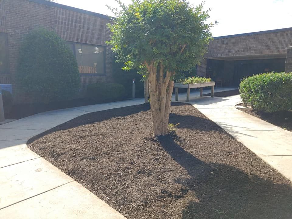 Landscaping for Starnes Hardscapes & Property Management LLC in Dunlap, TN