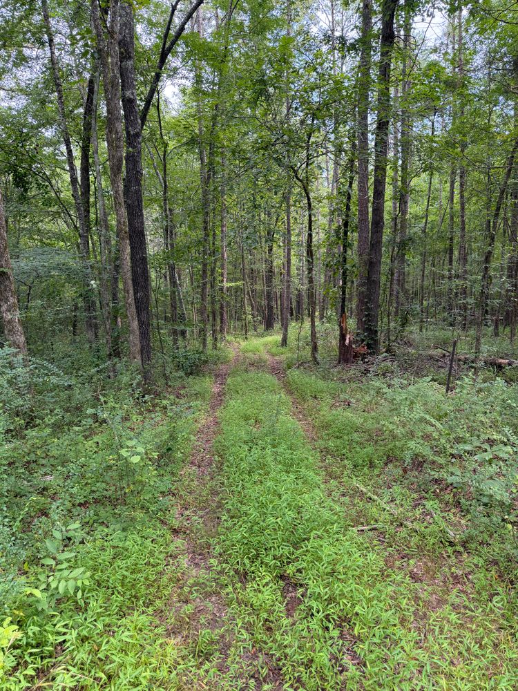 All Photos for Ross Excavation & Land Development in Middleton, TN