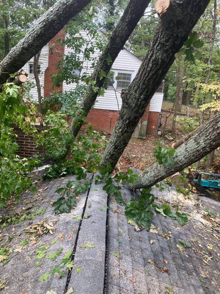 Tree Removal for Rescue Grading & Landscaping in Marietta, SC