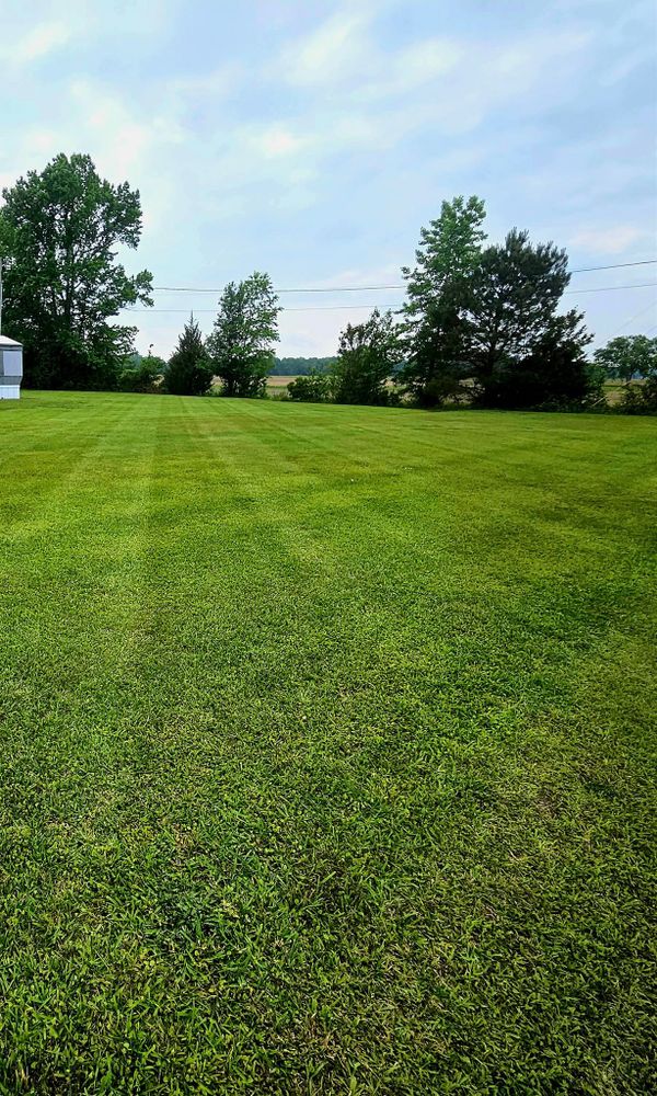 Beautiful Lawns for Natures Accent in Wilson, NC