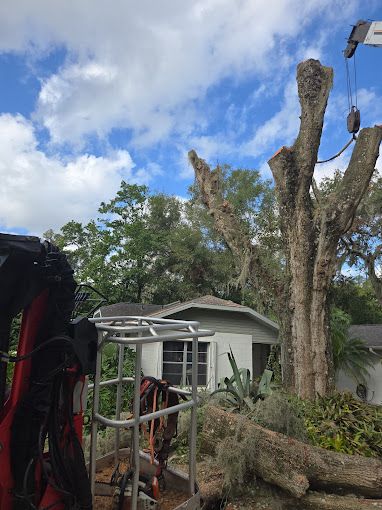 All Photos for Near Me Tree Service, Inc. in DeLand, FL