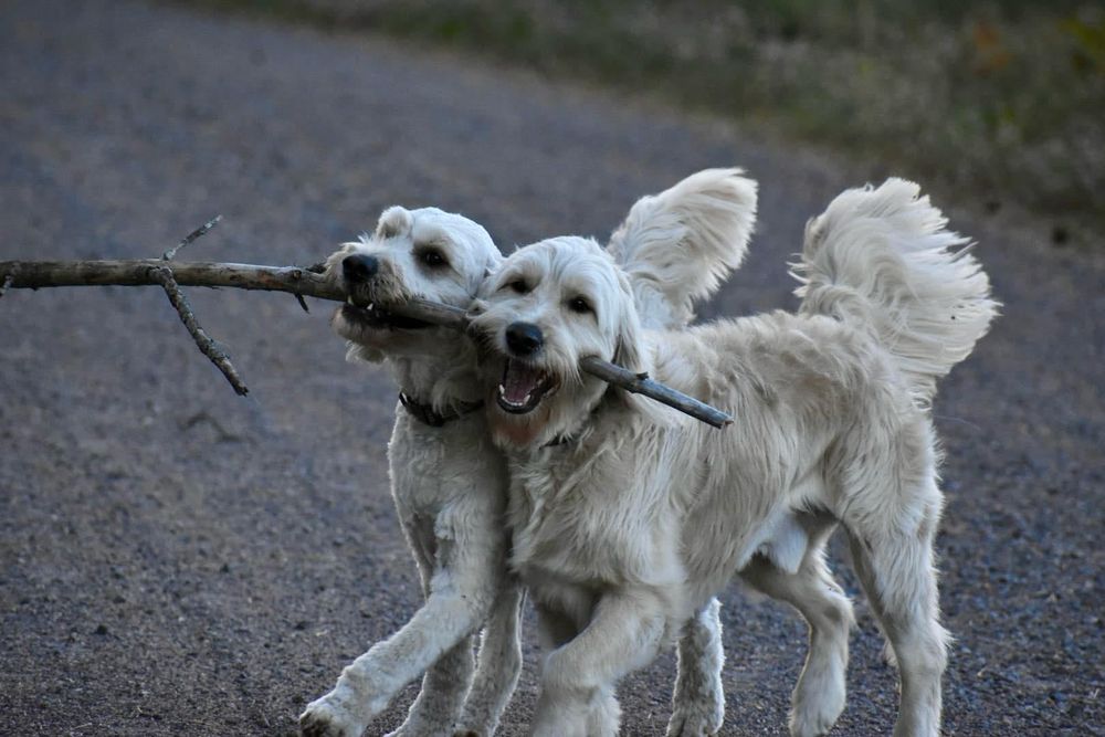 All Photos for Emma Praslowicz Century 21 Best Way Realty in Tomahawk, WI