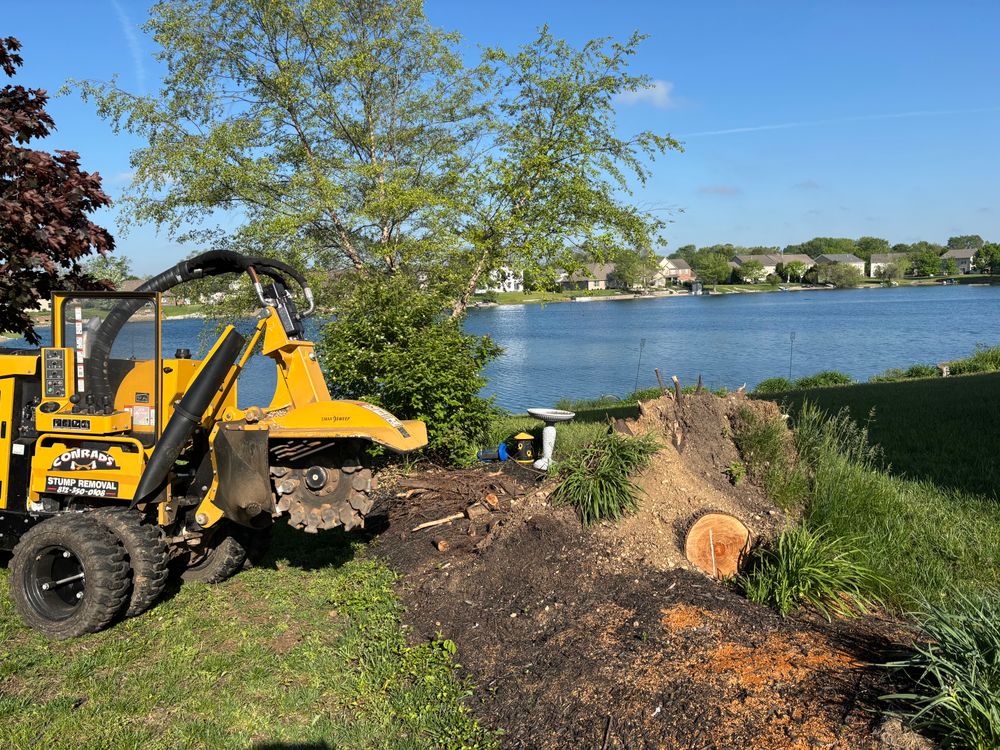 All Photos for Conrad's Stump Removal in Columbus, IN