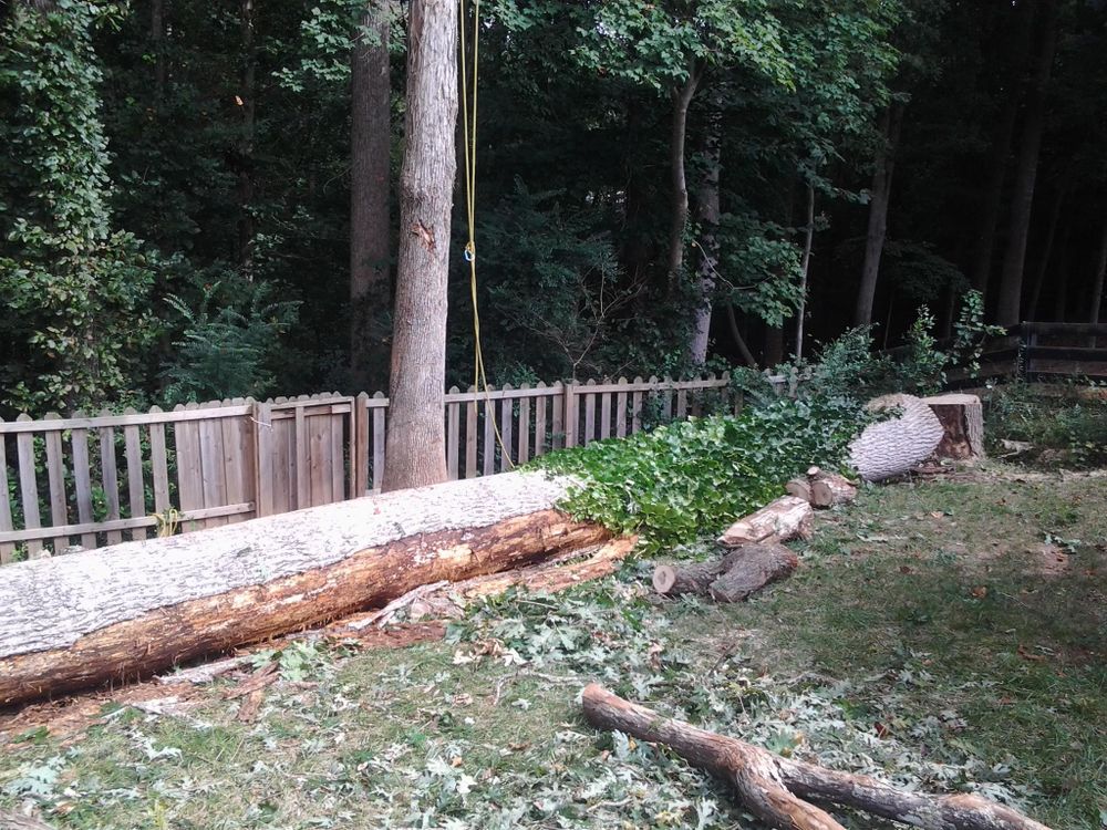 Tree Services for Wofford's Grading Clearing and Landscaping in Milton, GA