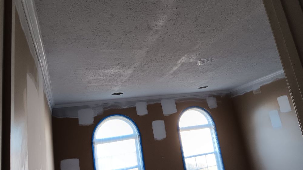 Fence and Full Home Interior Painting and Drywall repair for Dead Tree General Contracting in Carbondale, Illinois