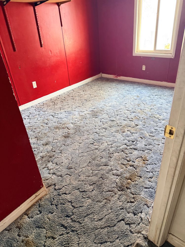 All Photos for AAA Flooring of Utah in Tooele, UT