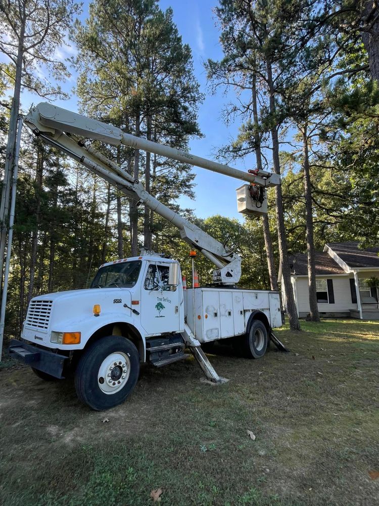 Tree Removal for Ross Family Tree Service LLC  in Hohenwald, TN