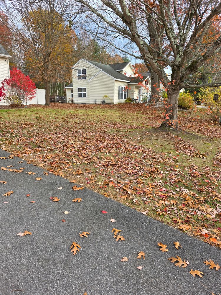 All Photos for Sweet Scapes in Ballston Spa, NY