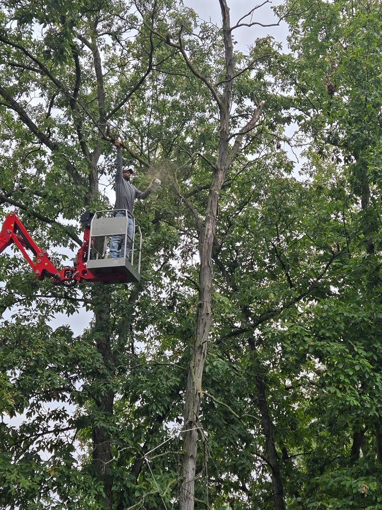 All Photos for Lawn Ranger Yard And Tree Service LLC in Ottumwa, IA