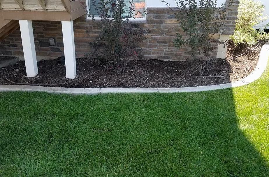 Lawn Aeration for Sierra Landscape in Tustin, CA