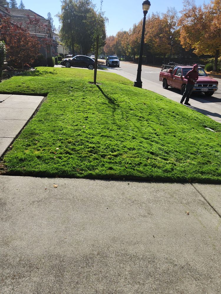 Our comprehensive Lawn Maintenance service includes mowing, edging, hedge trimming, fertilization, and weed control to keep your yard looking lush and pristine all year round. Let us handle the upkeep for you! for Vargas LANSCAPE LLC in Stockton, CA