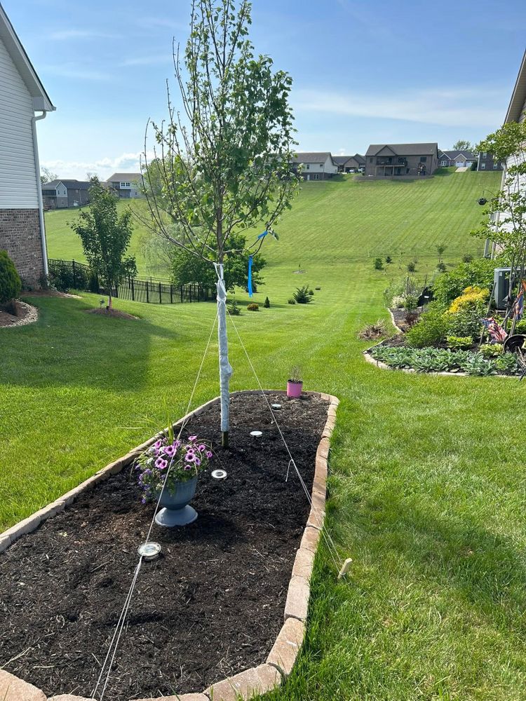 All Photos for Gatrell Landscape & Tree Removal in Bluff City, TN