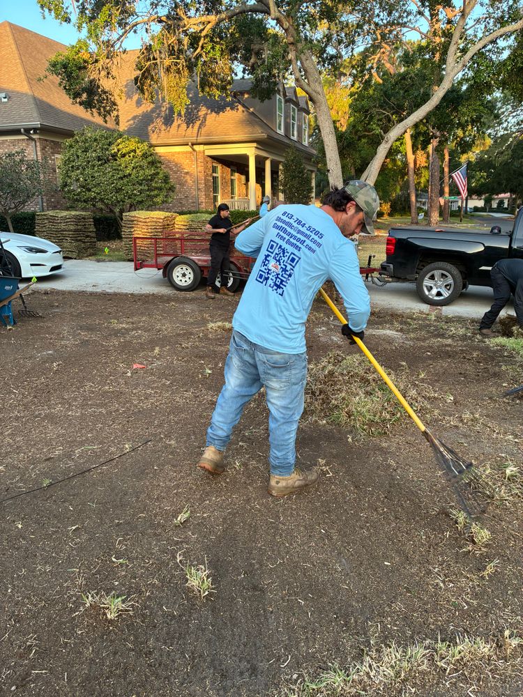 All Photos for Gulf Bay Sod in Clearwater, FL