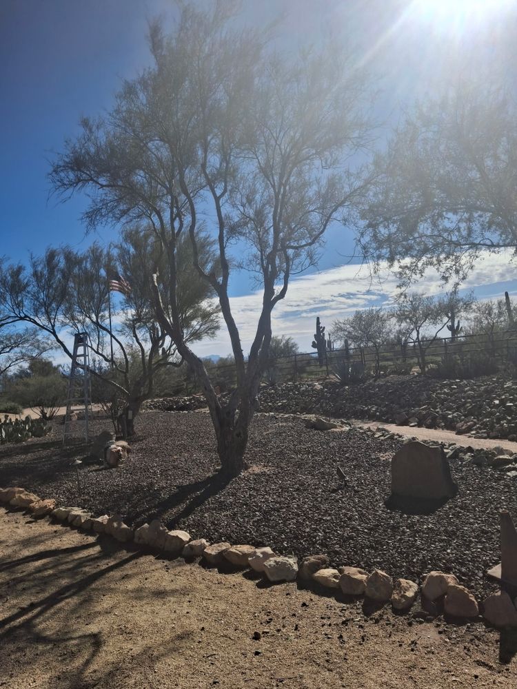 All Photos for Family Landscaping in Phoenix, AZ