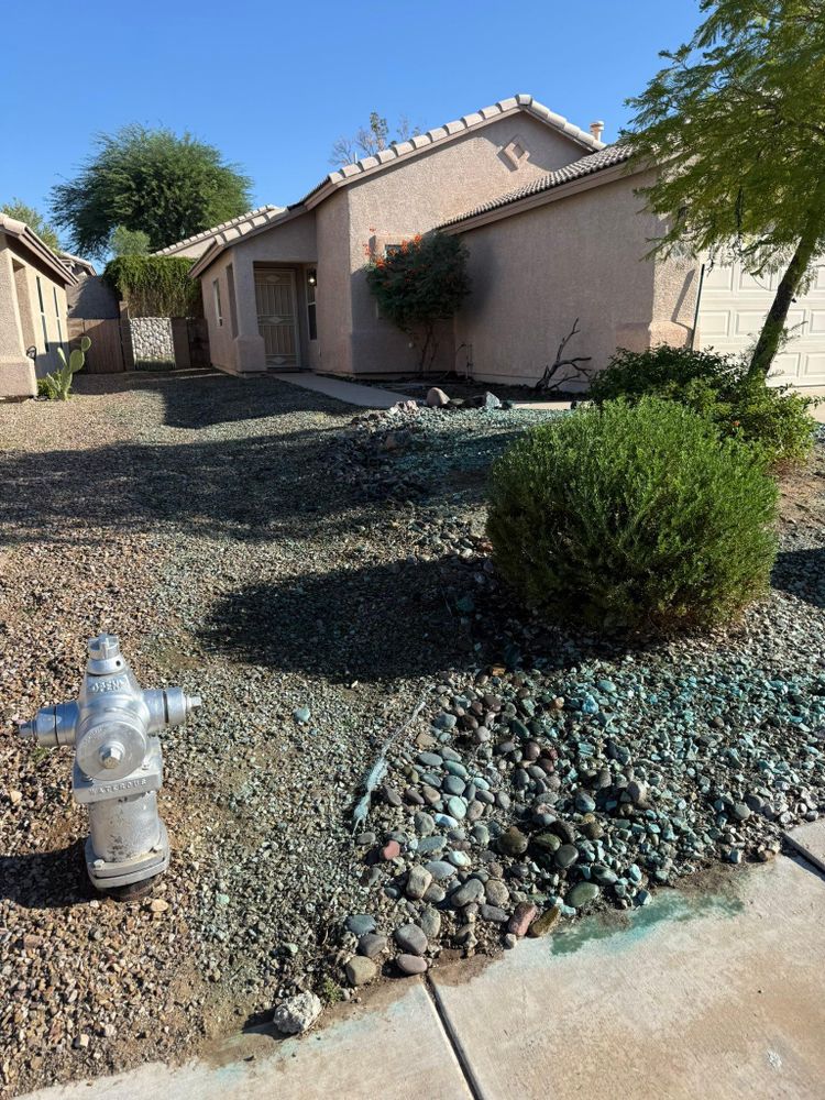 All Photos for LM Landscapes & Irrigation LLC Verified Account in Marana, AZ