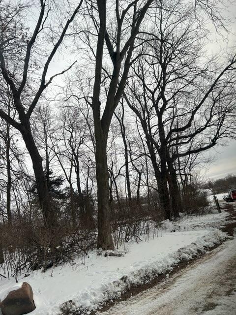 All Photos for Fransen's Tree Service  in Freeport, IL