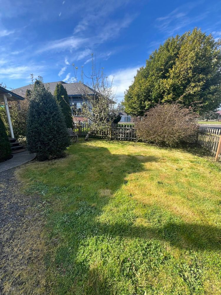 All Photos for The Lawn Ranger LLC in Tillamook, OR