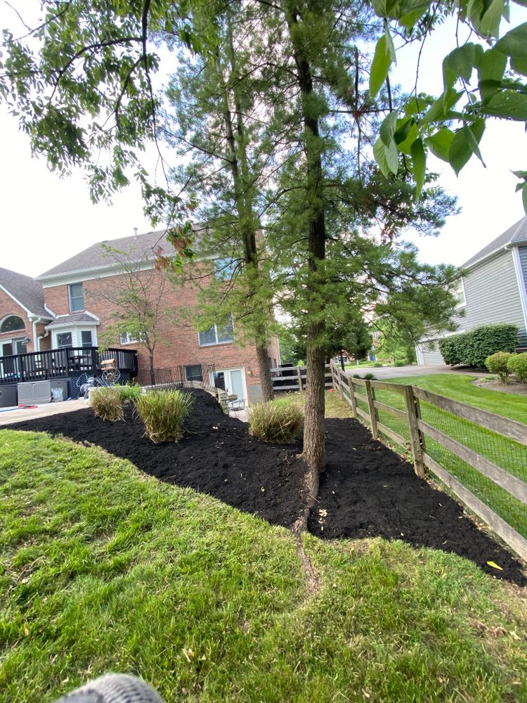 All Photos for Castle JR Landscaping & Painting LLC in Cincinnati, OH