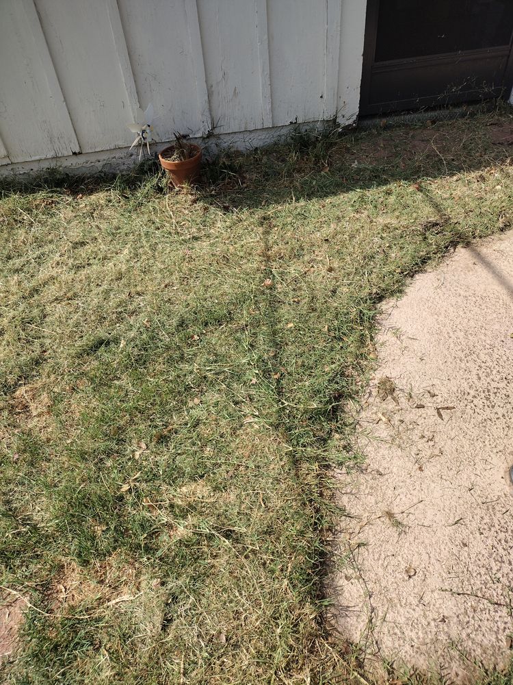 All Photos for Smooth Lawn Service in Mesa, AZ