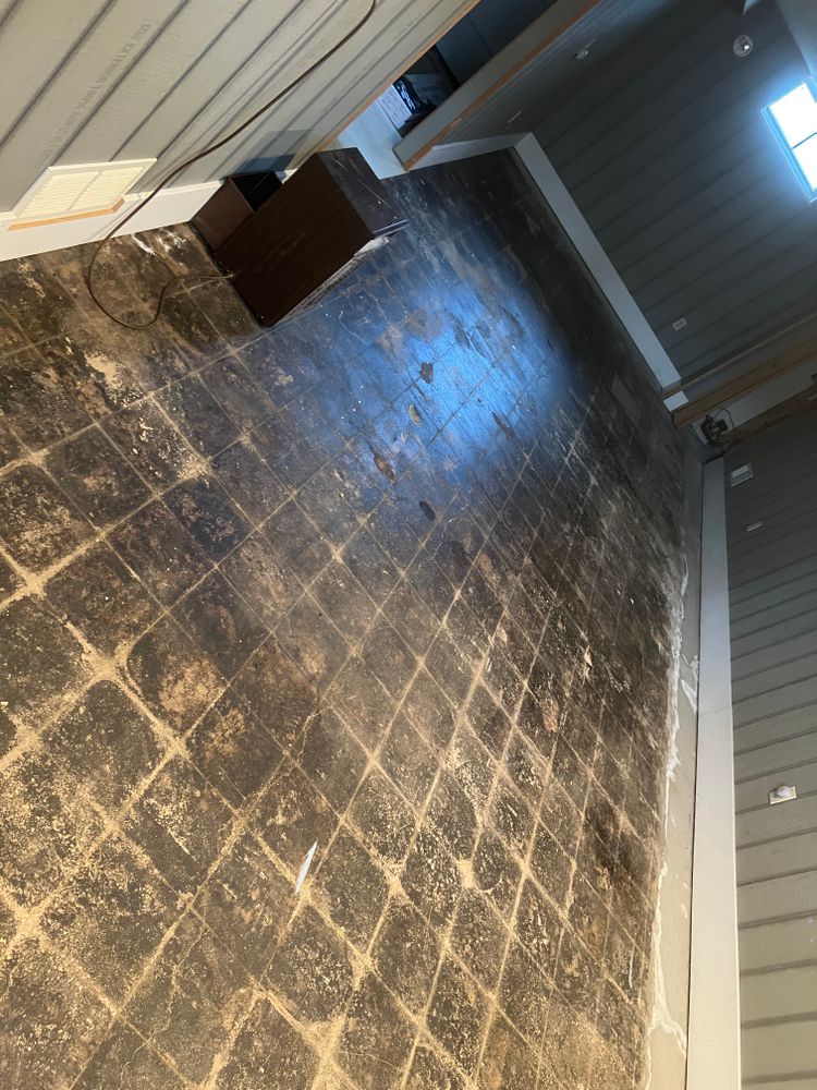 All Photos for Dib 896 Flooring in Dearborn Heights, MI