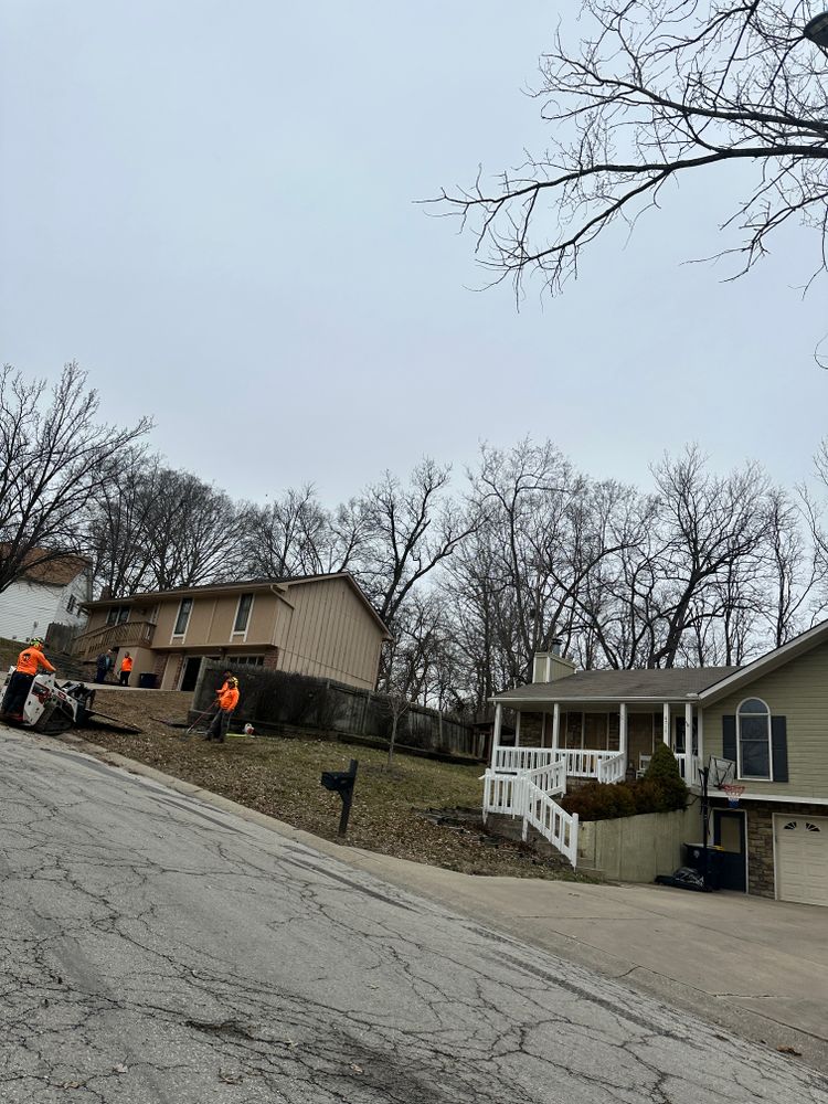 All Photos for Cross Family Tree Service in Kearney, MO