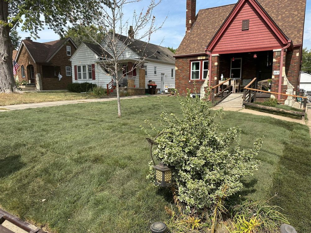Tree Removal for Greenlee & Family Landscaping Services in Peoria, IL