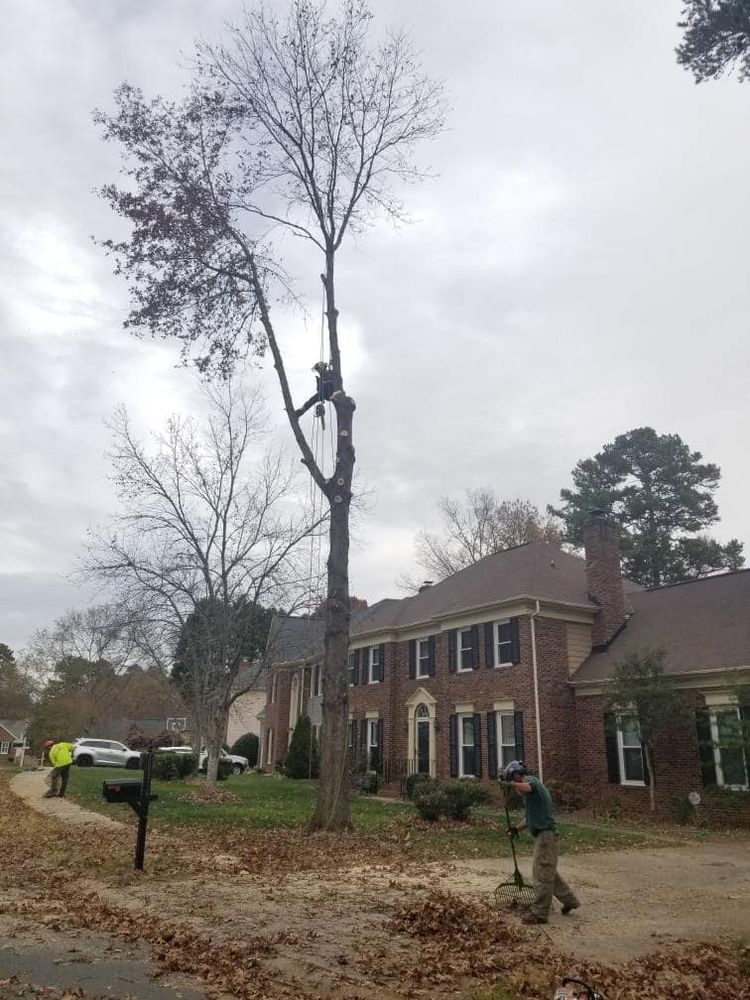 All Photos for Diversified Tree Company in Trinity, NC