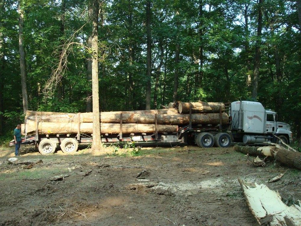 Logging for Bennett Logging in Gosport, Indiana